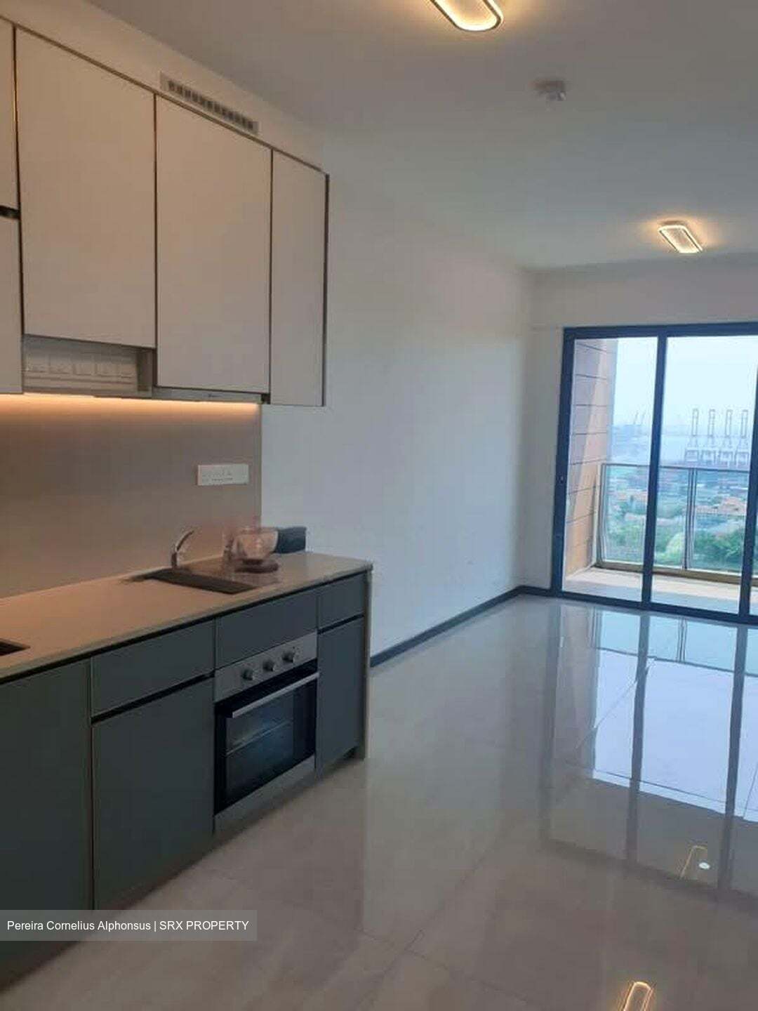 Normanton Park (D5), Apartment #537791701
